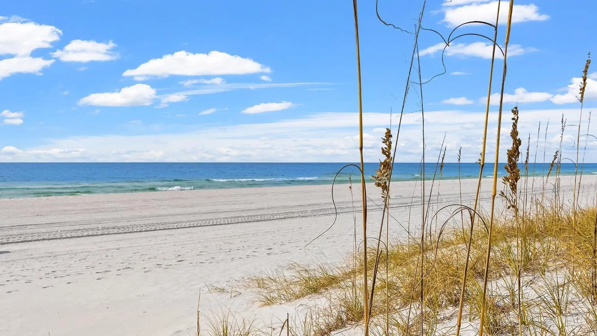 Treasure Island 1907 Apartment Panama City Beach